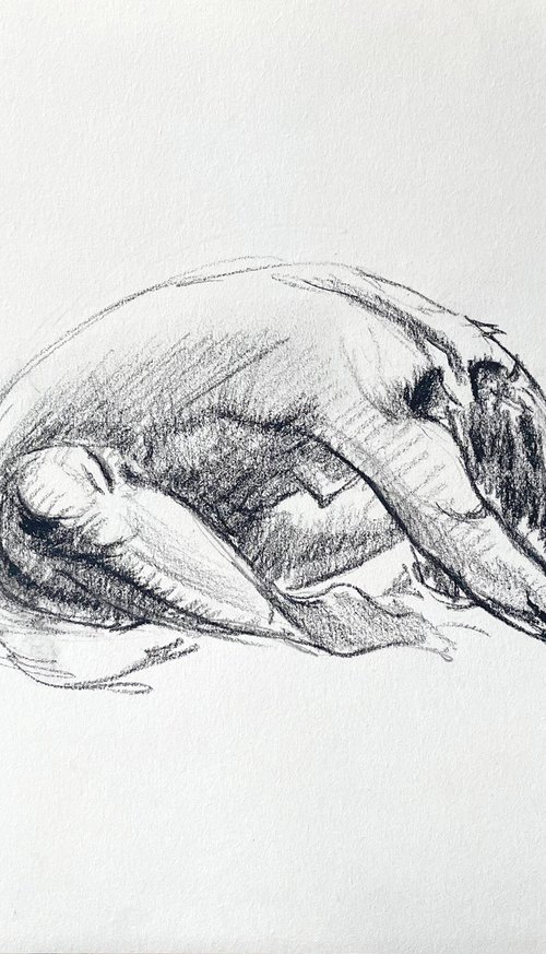 nude drawing1.  Acceptance by Anna Bogushevskaya