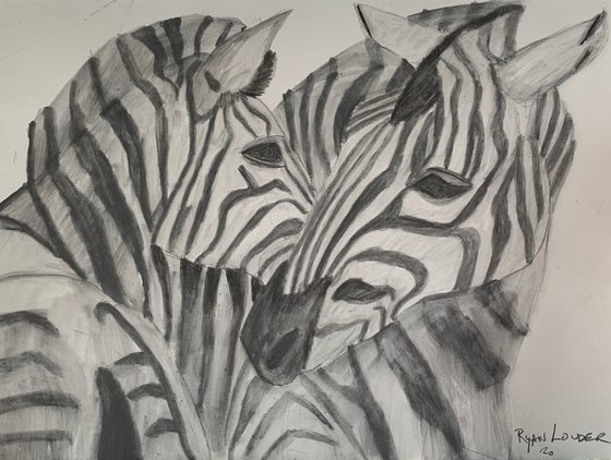 Two Zebras