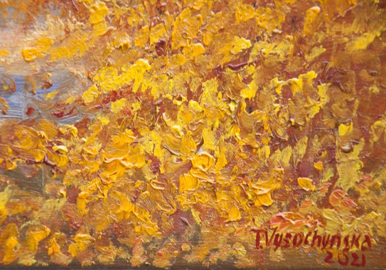 Fall forest.