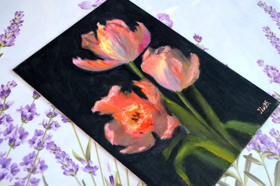 Coral tulips 2