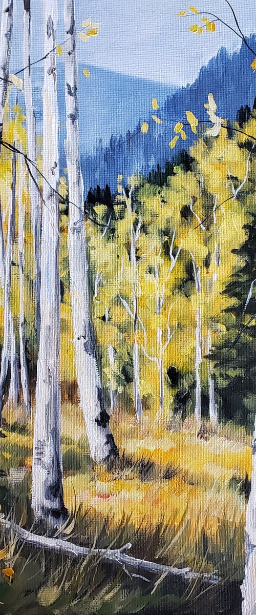 Landscape - Mountain Trees - "Aspen Meadow" by Katrina Case