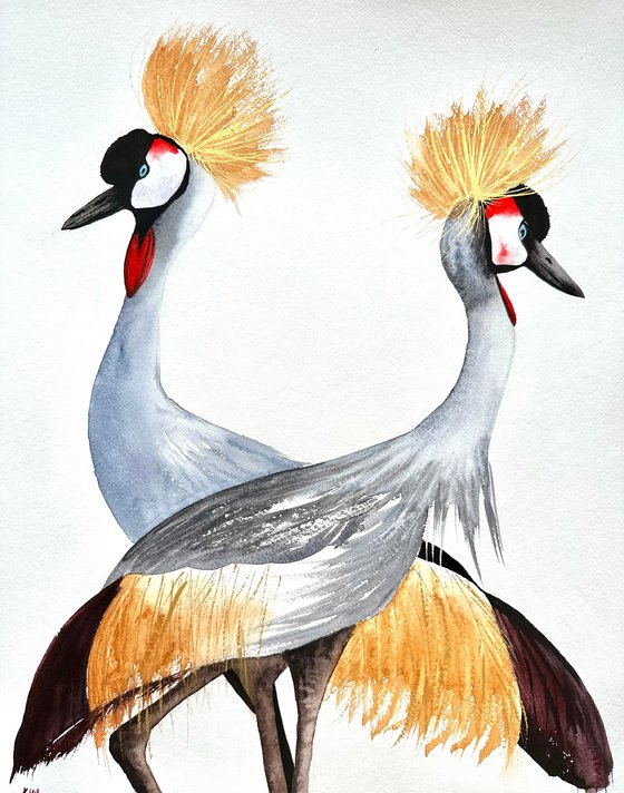 Сrane Сranes Crowned Crane