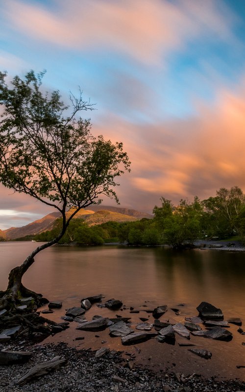 The Lone Tree Llyn Padarn Unframed Photographic Print by Kieran Brimson