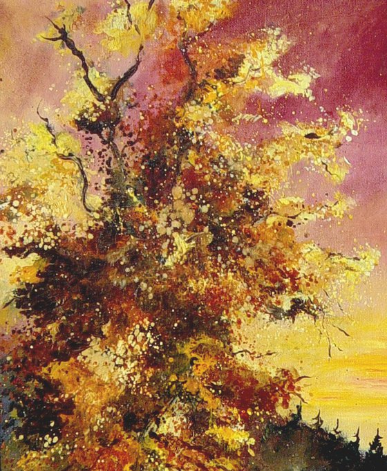 An oak in autumn