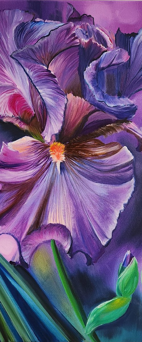 Iris in Barocco Style. by Alexandra Tomorskaya/Caramel Art Gallery
