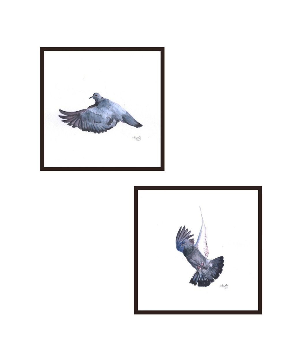 Photorealistic Watercolour , Flying Pigeons By Shweta Mahajan, 8 X 8, Artwork For Sale On Artfinder