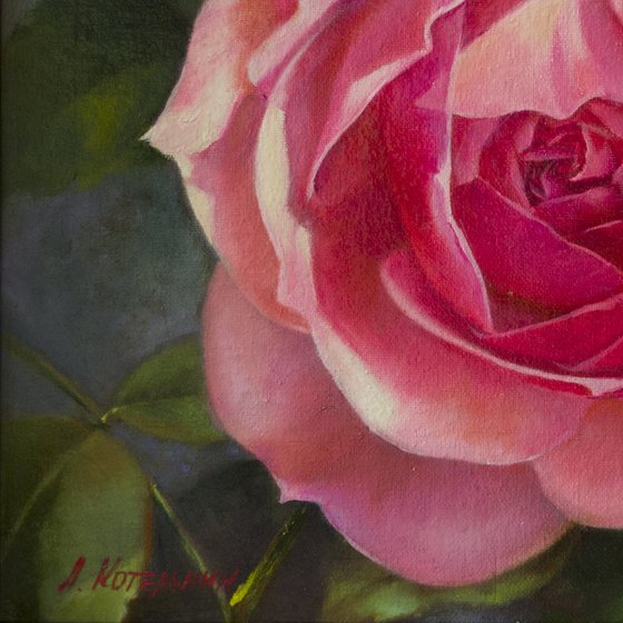 "Margo"  rose flower pink  realism liGHt original painting   GIFT (2018)