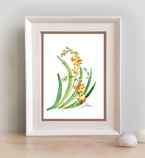 Crocosmia motif