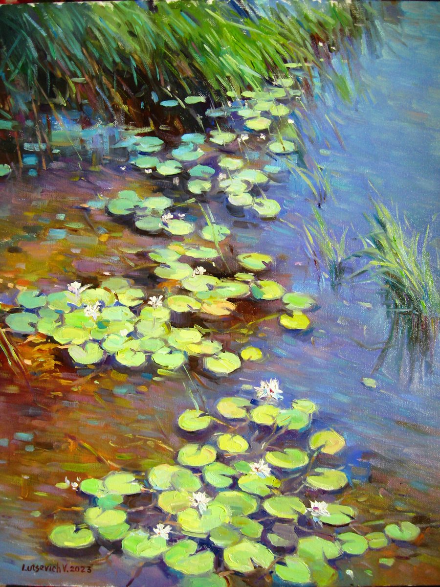 Impressionistic Landscape Oil Painting By Vladimir Lutsevich, 16 X 20", Water Lilies. South Bug River. Ukraine, Original Artwork