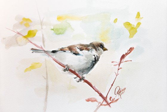 Sparrow