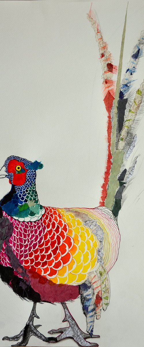 Pheasant by Vyara Tichkova