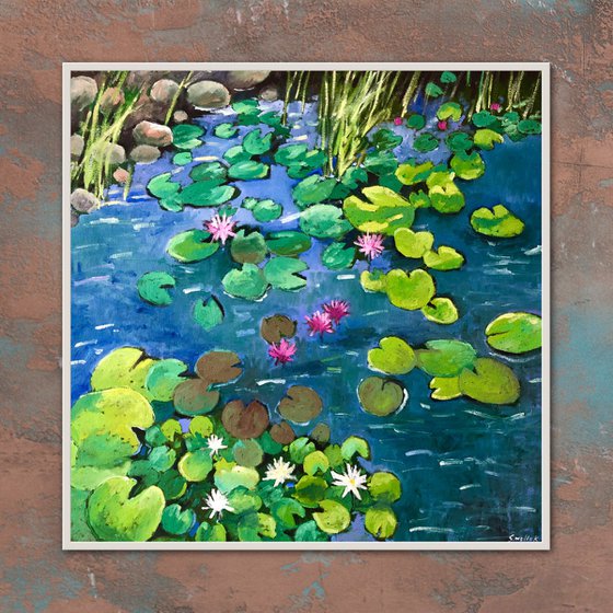 Waterlily 60-60cm