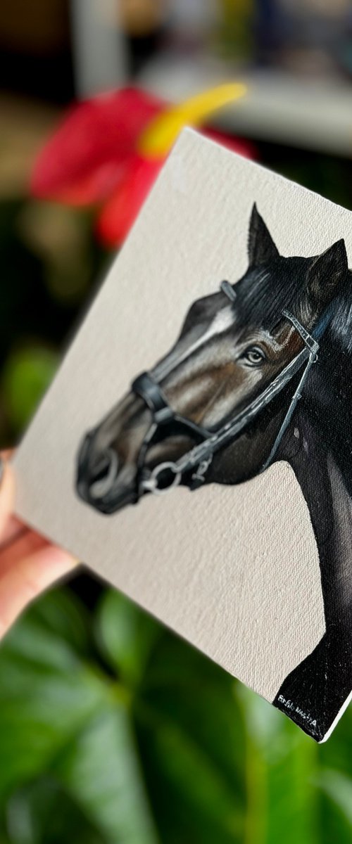 Horse Portrait 11 by Anastasia Parfilo