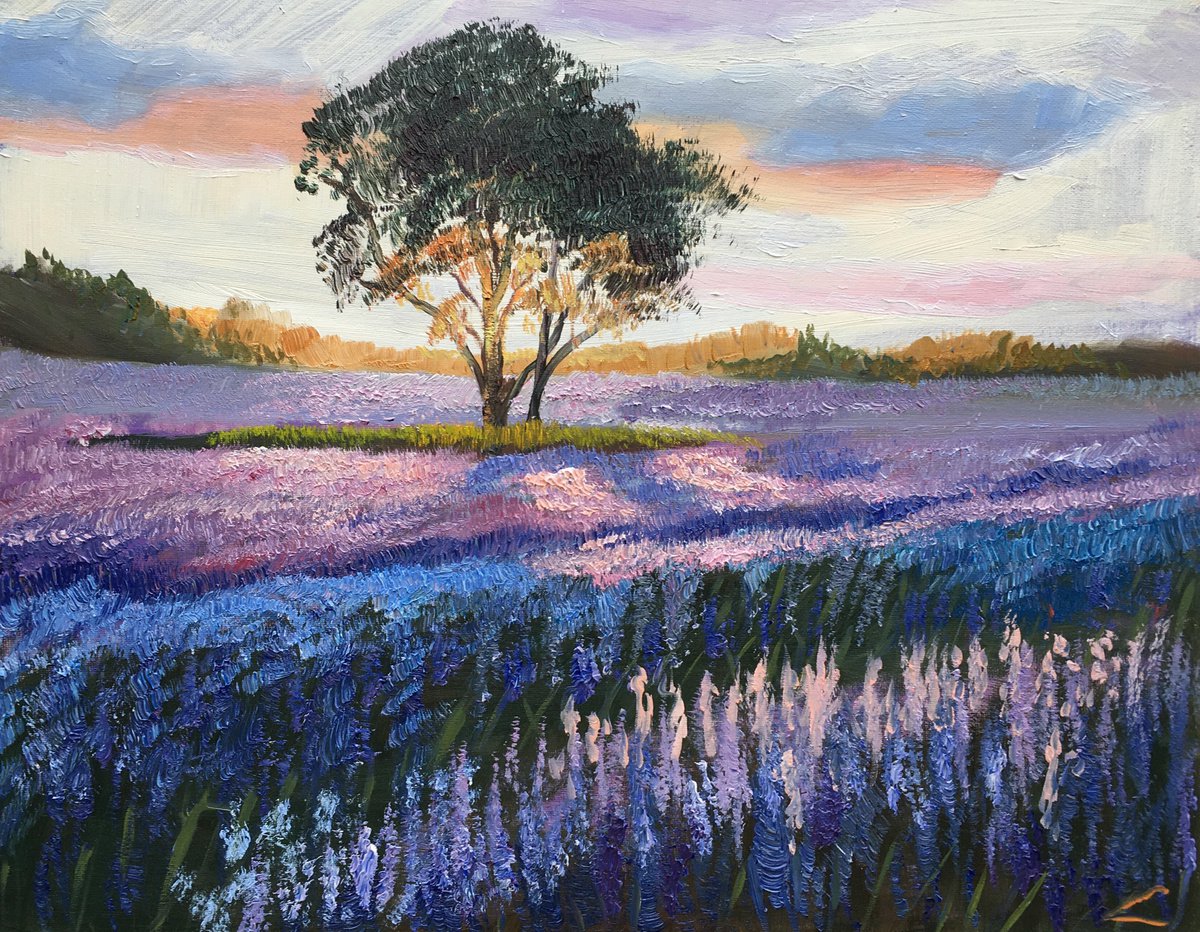 Lavender By Elena Sokolova, 20 X 16, Artwork For Sale On Artfinder