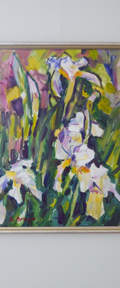 White irises, etude (plein air) by Dima Braga