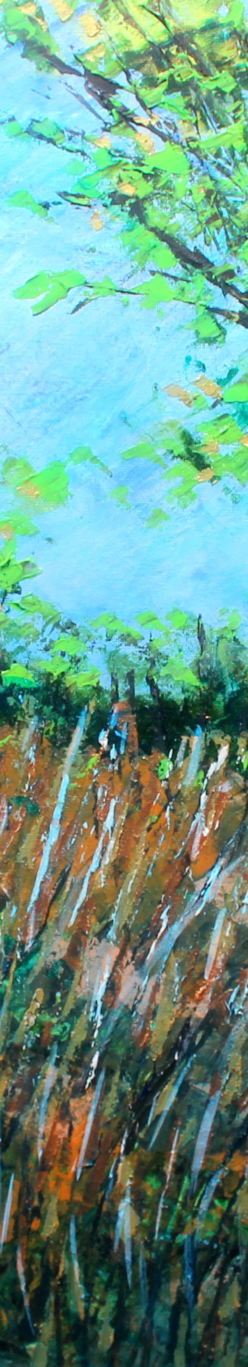 Bursledon Reedbeds by Paul J Best