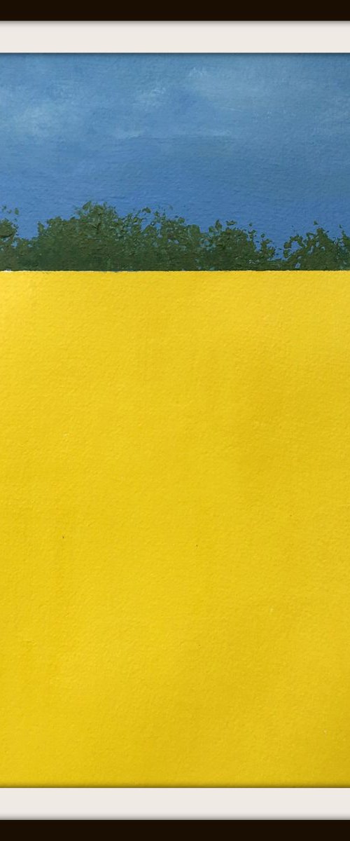 Rapeseed Fields Hampshire VI by Jan Rippingham