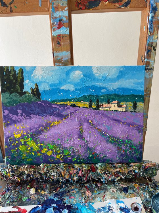 Tuscan Lavender Field
