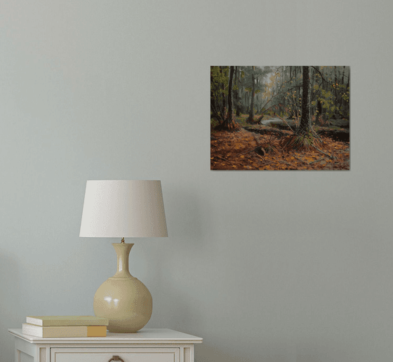 IN THE FOREST WILDERNESS