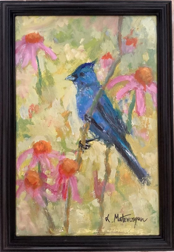 Garden Bird