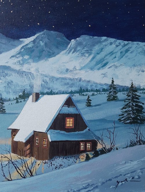 Cold winter night by Alen Grbic