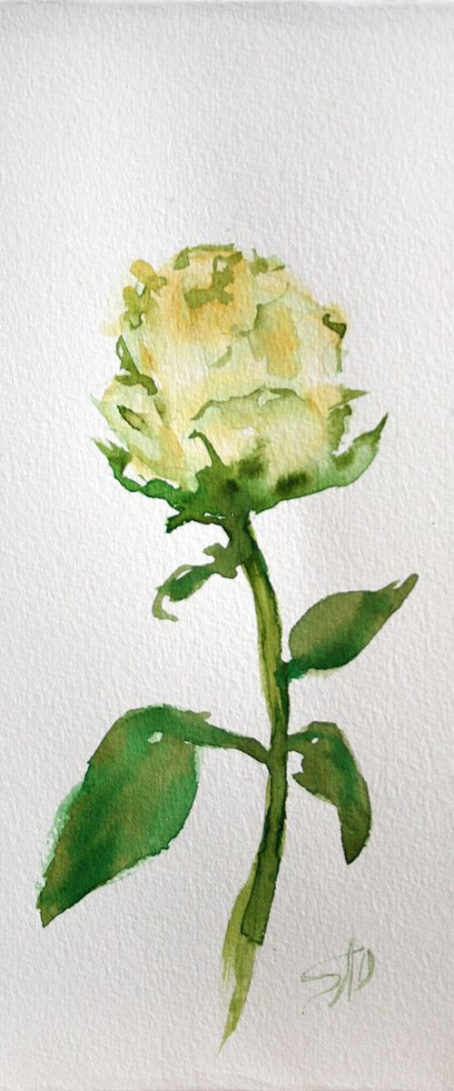 Rose 06  / Original Painting / emotion in the portrait of a flower / color harmony of watercolor / a gift for you by Salana Art