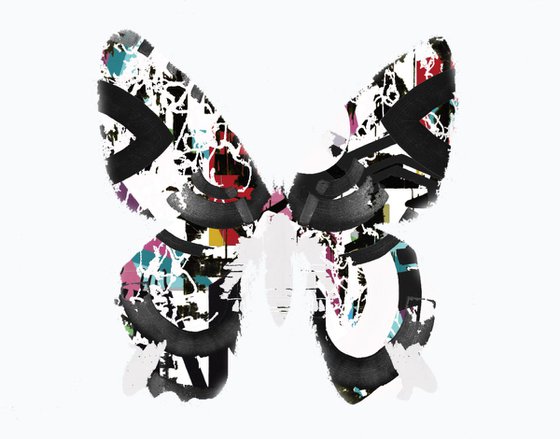 butterfly no 2