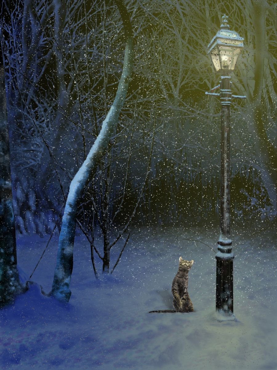 Snow Cat by Nigel Follett