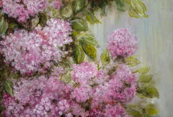 Pink Breath of Summer