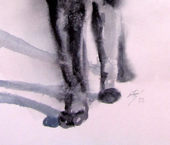 Black cat