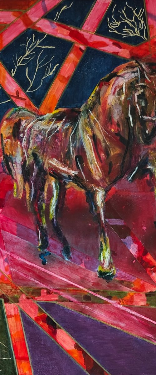 Born to Run by Mieke van Os