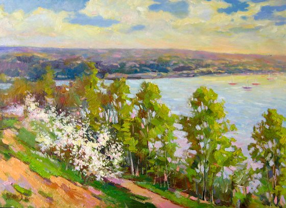 Spring on the Dnipro river