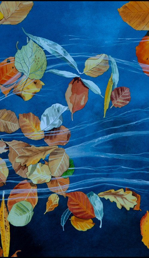 Leaves on Water by John Kerr