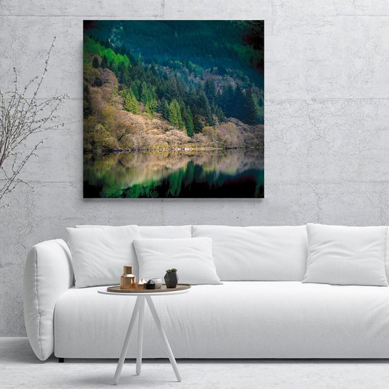 Peace in the Forest - Photography Art on Canvas