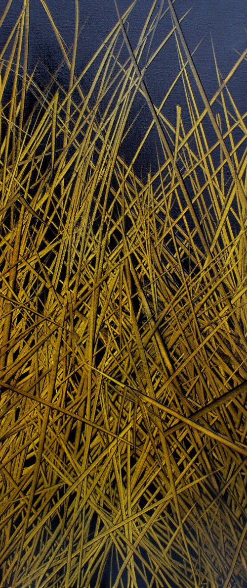 reeds by antonio maggio carluccio