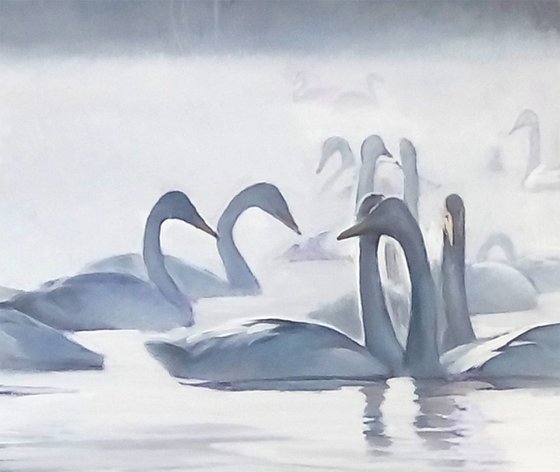 Dancing with Swans