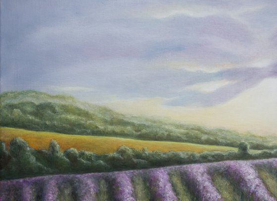 Lavender Aroma