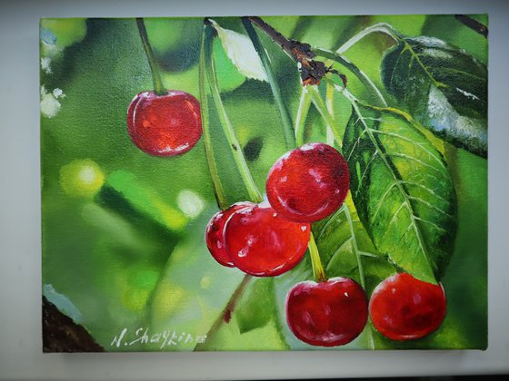 Red Cherries, Garden Scene