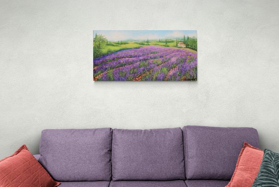 Lavender field