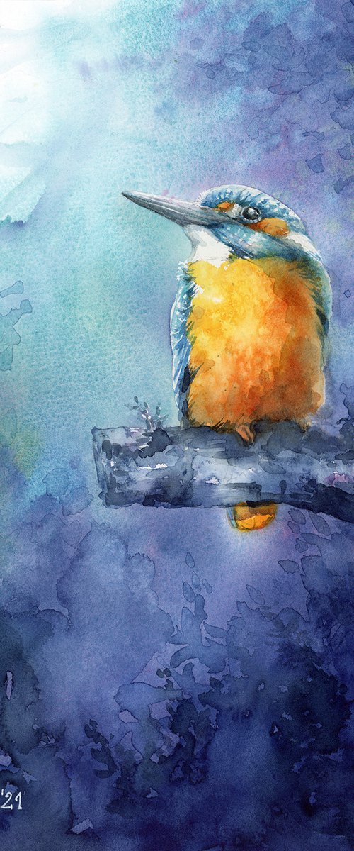 Kingfisher, watercolor of birds and wildlife by Karolina Kijak