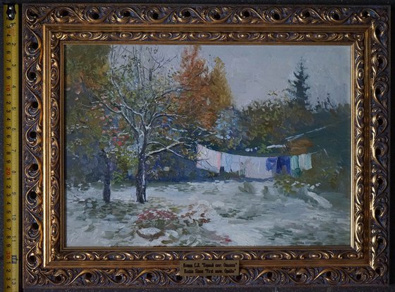 Opalikha. First snow