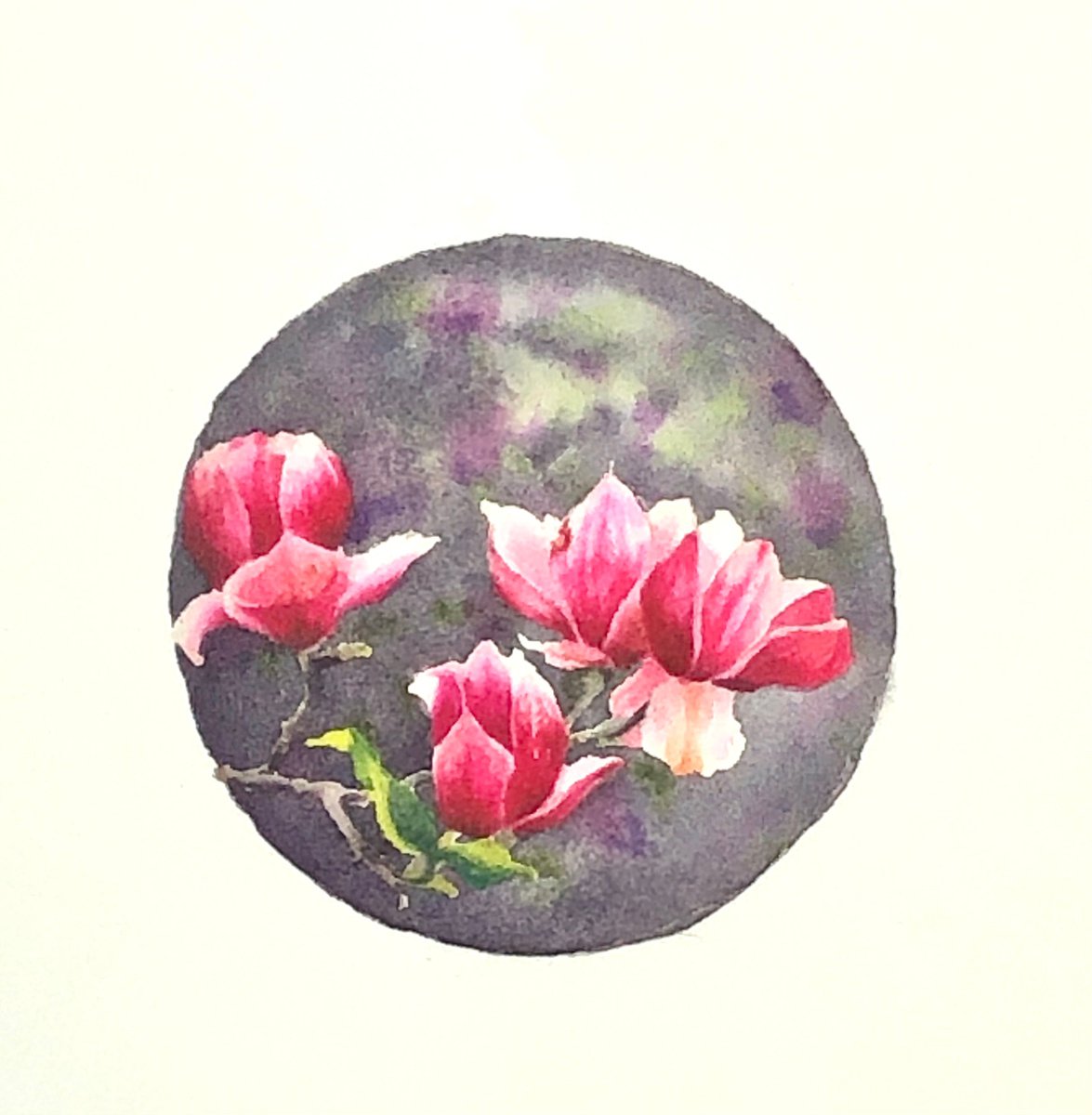 Pink Magnolia miniature by Alina Karpova