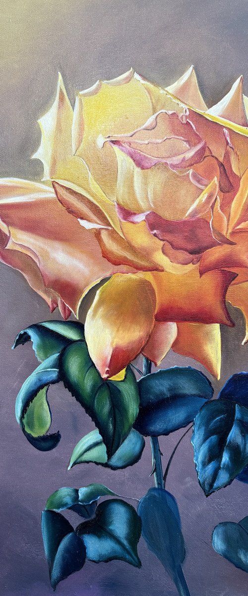 Rose by Diana Malivani