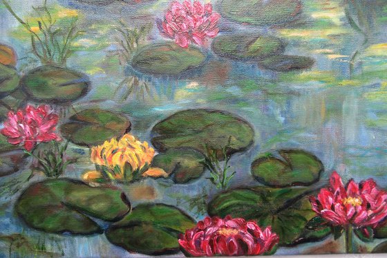 Water Lilies in Pond