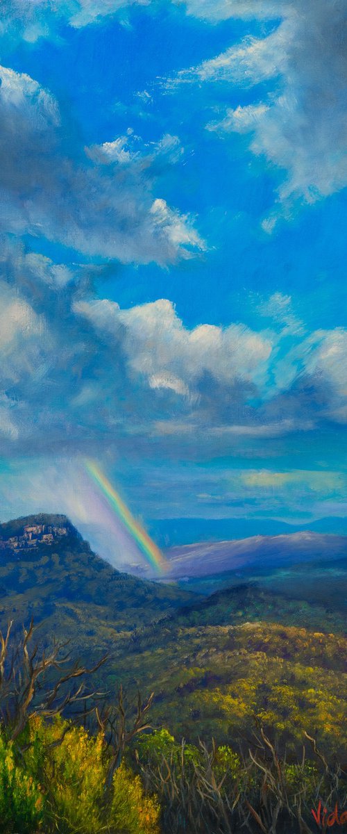 After the storm - Blue Mountains, NSW by Christopher Vidal