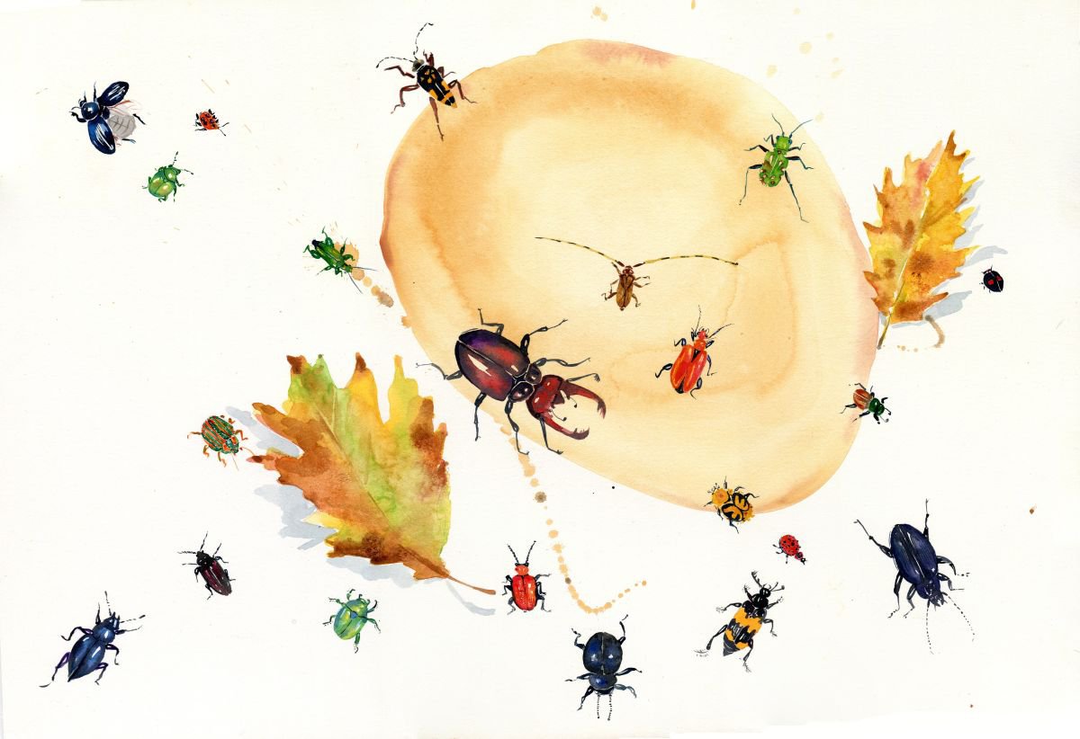 Original British Beetles Watercolour Painting by Hannah Clark