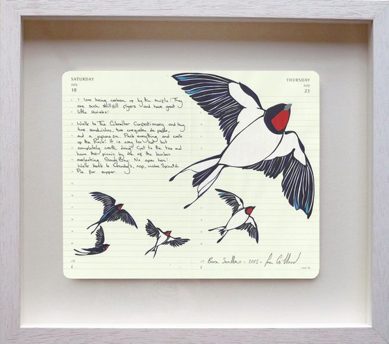 Birds of Europe: Barn Swallow