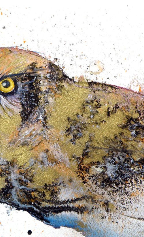 Owl in gold by Kovács Anna Brigitta
