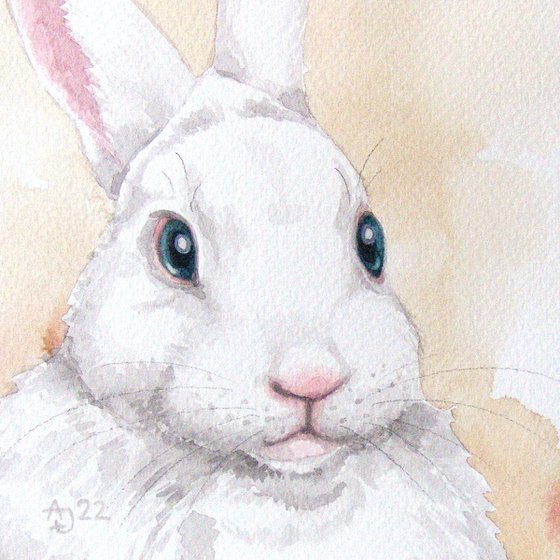 Bunny 5