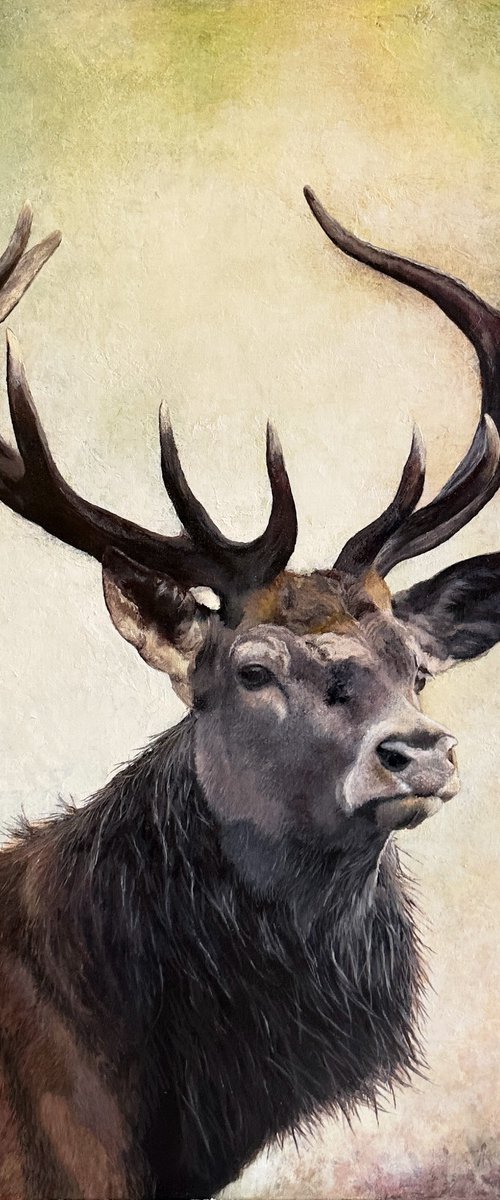 Composure by Paul Hardern